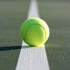 𝐓𝐞𝐧𝐧𝐢𝐬 𝐁𝐞𝐭𝐭𝐢𝐧𝐠 𝐈𝐓𝐀🎾