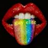 GAY ELITTE ARAYIŞ