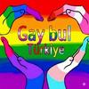 Gay bul Türkiye- ARAYIŞ🏳️‍🌈